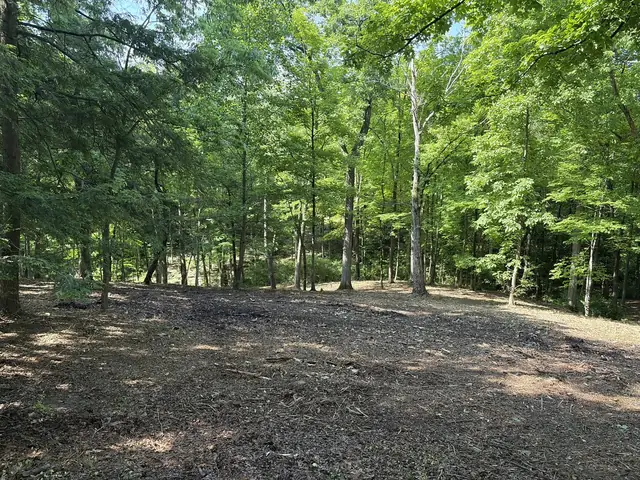 Wooded area cleaned out after forestry mulching