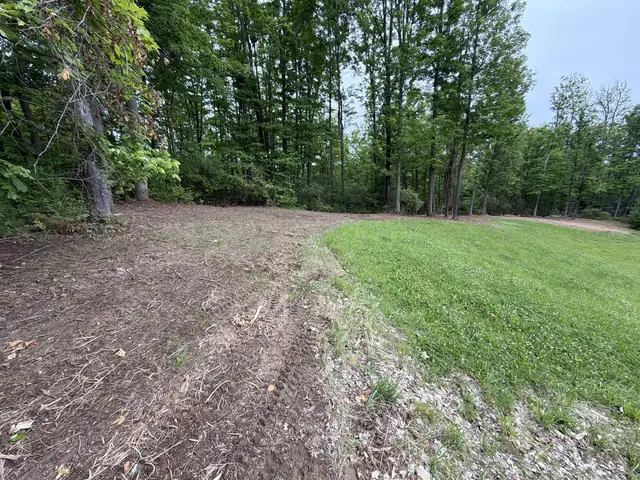 Wooded edge after brush clearing and forestry mulching