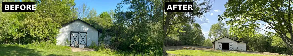Barn and lot overgrowth cleared, before and after