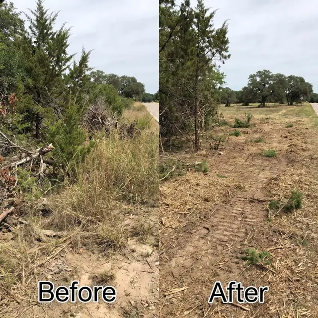 Brush clearing before and after