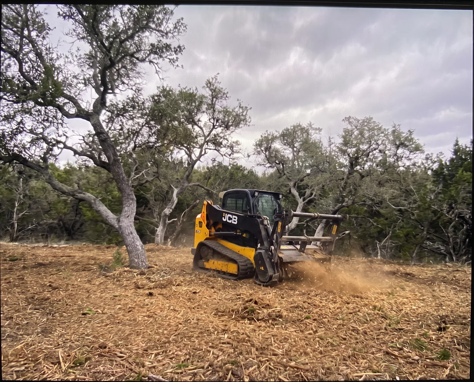CHEW's JCB forestry mulcher grinding cedar and brush into a chip layer on a Central Texas property